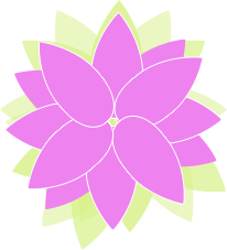 Kwiat czakry Serca - czakroterapia - naturalne metody uzdrawiania